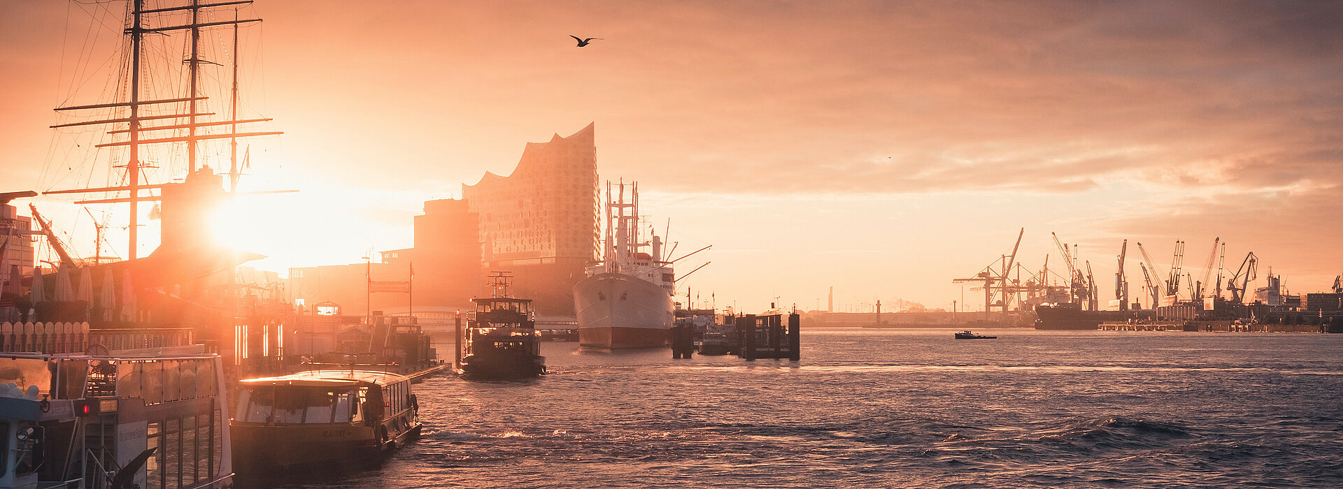 Hamburg Elbe beim Sonnenuntergang mit Elbphilharmonie im Hintergrund by patrick-rosenkranz